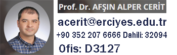 Afşın Alper Cerit